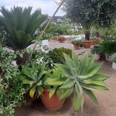 B&B villa sofà Capo Vaticano Esterno foto
