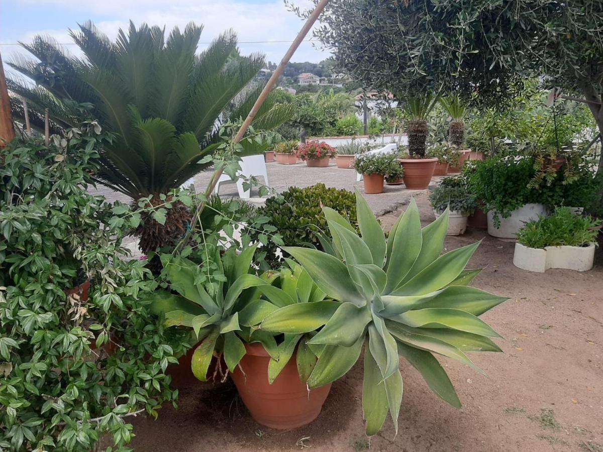 B&B villa sofà Capo Vaticano Esterno foto